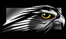 Falcon Northwest Direct