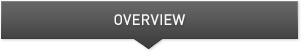 Overview