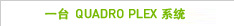 Single Quadro Plex Systems