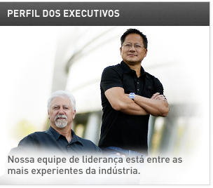 Perfil Dos Executivos