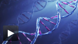 Computing a Cure for Cancer