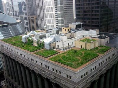 Green Roof Top