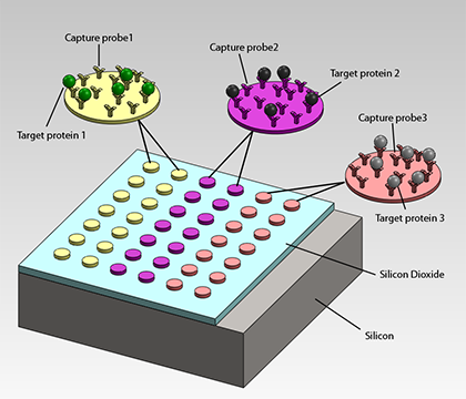 Illustration of a microarray on an IRIS slide (by Alex Reddington)