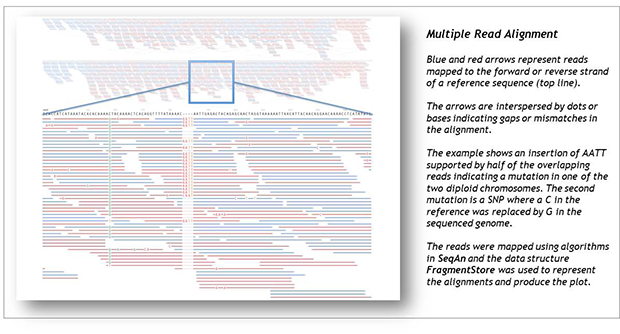 Multiple-Read-Alignment