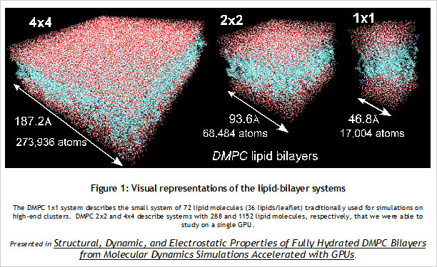 Visual representations of the lipid-bilayer systems
