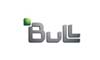 Bull
