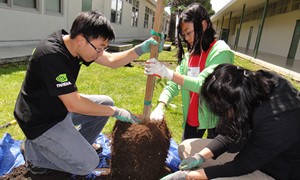 SC Voluntary Activity