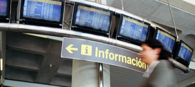 Four ultra-high resolution display outputs in Low-Profile (LP) form factor