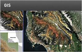 GEOGRAPHIC INFORMATION SYSTEMS (GIS)