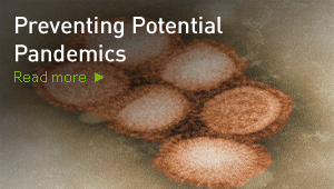 Preventing Potential Pandemics