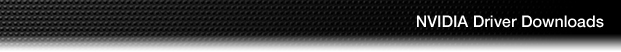 header.jpg