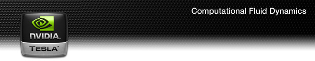 Computational Fluid Dynamics