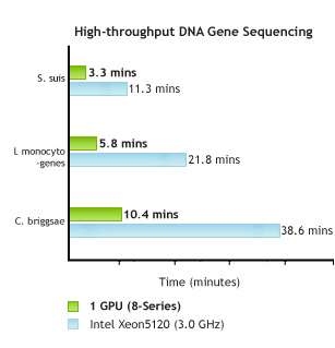 Bioinformatics Life Sciences DNA