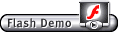 Flash Demo