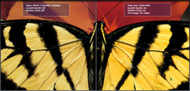 TotalMedia Theater 3