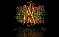 Tesla Vertical BioScience