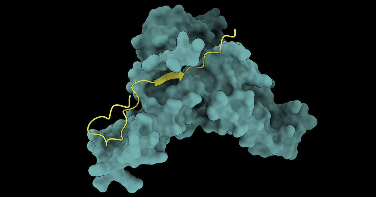 Harvard Medical School Scales Protein AI Using NVIDIA DGX Cloud