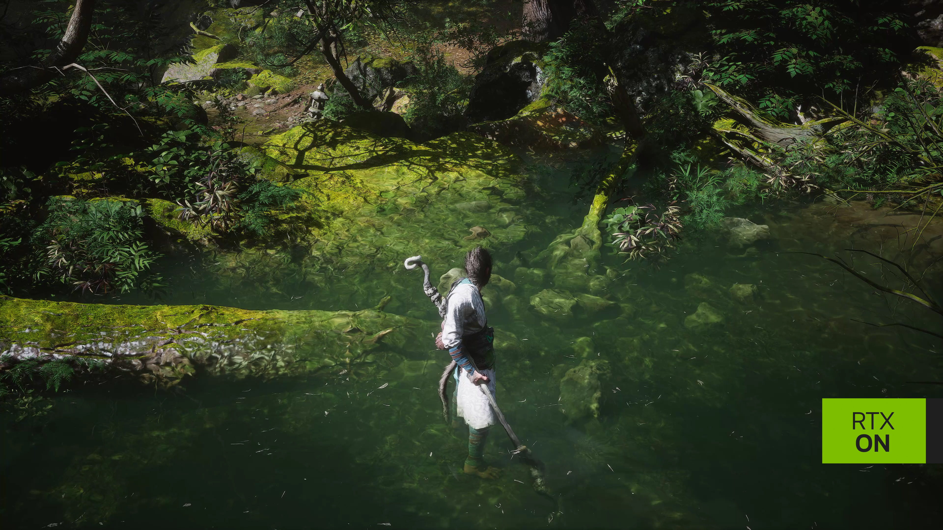 Squirtle with sunglasses