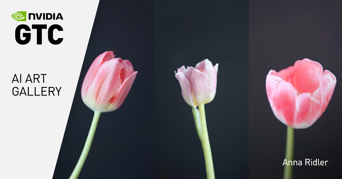 Anna Ridler at the AI Art Gallery at GTC 2021 | NVIDIA