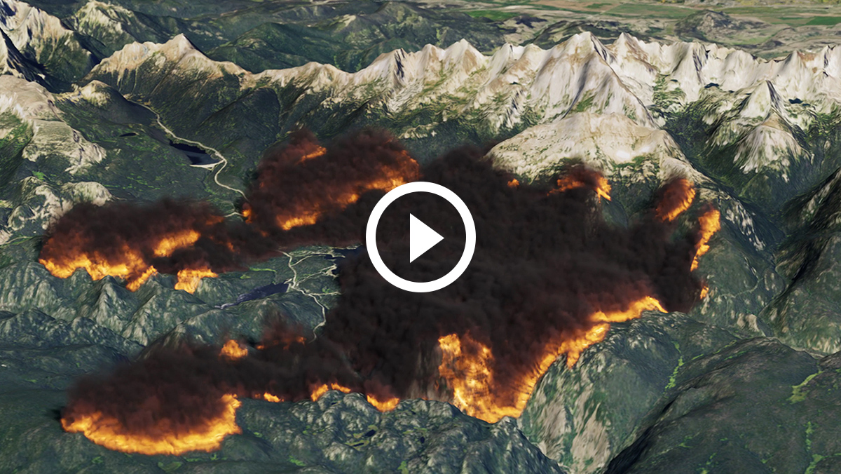 Wildfire Studies & Suppression