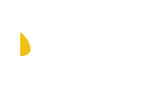 Palit