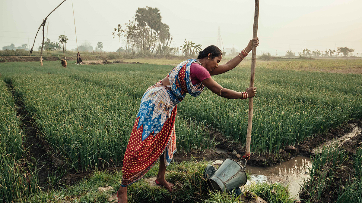 Discover Our Impact | NVIDIA CSR in India