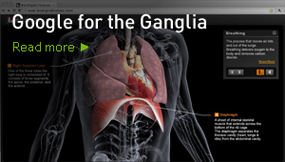Google for the Ganglia