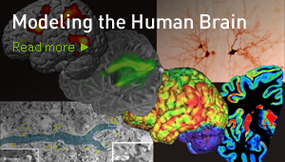 Modeling the Human Brain