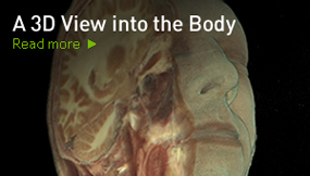 A 3D View into the Body