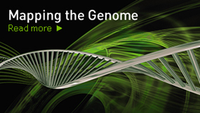 Mapping the Genome