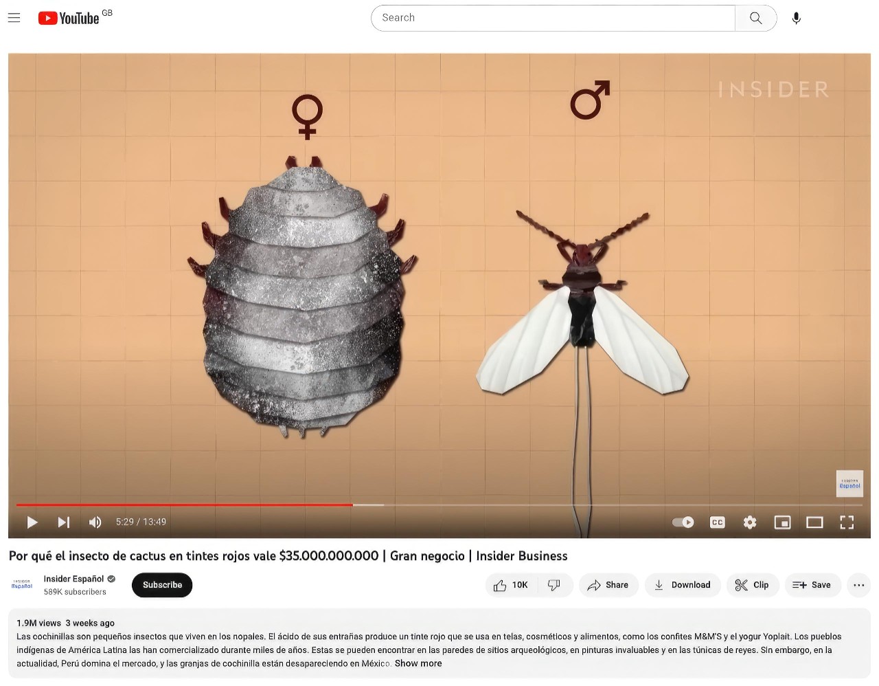 Die KI-Lösung von Papercup ermöglicht es, Videos in jeder Sprache anzusehen