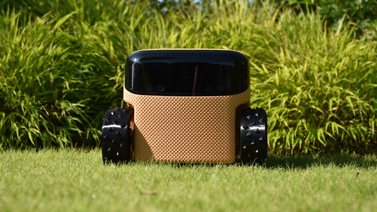 EEVE Willow, KI-gesteuerter Roboter für Rasenpflege und häusliche Sicherheit