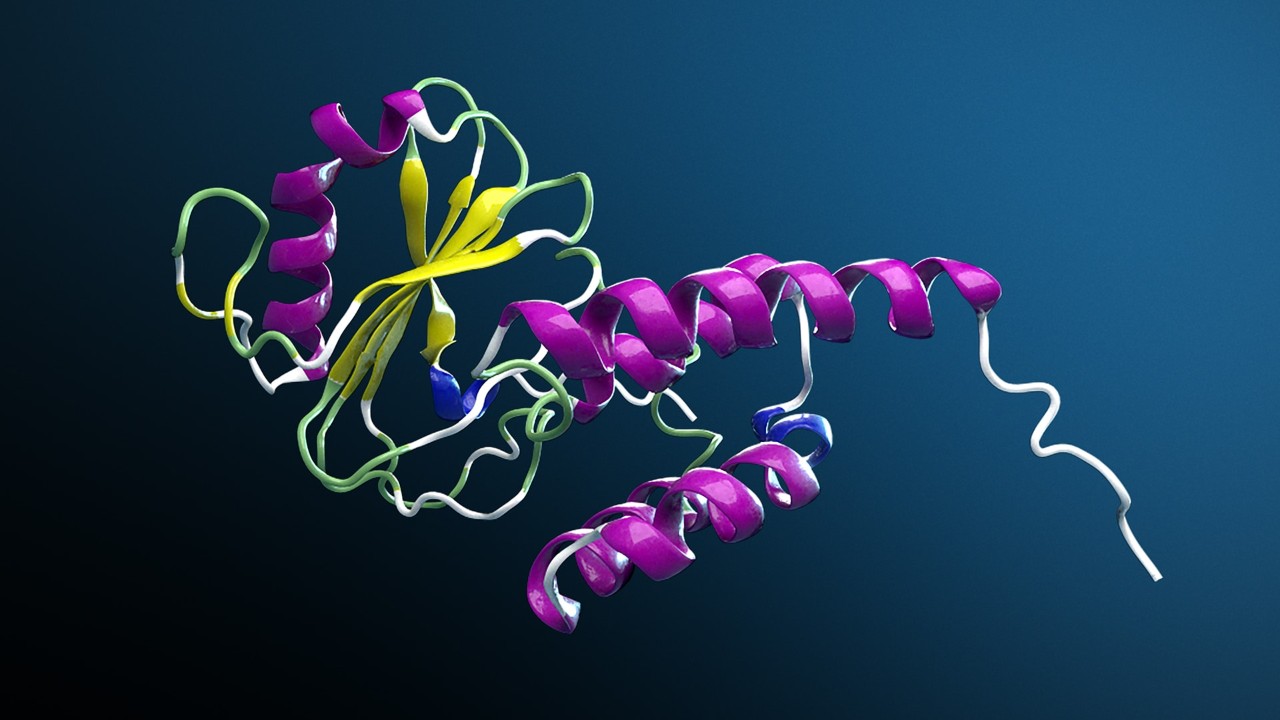 3D model of a protein structure generated by NVIDIA BioNeMo