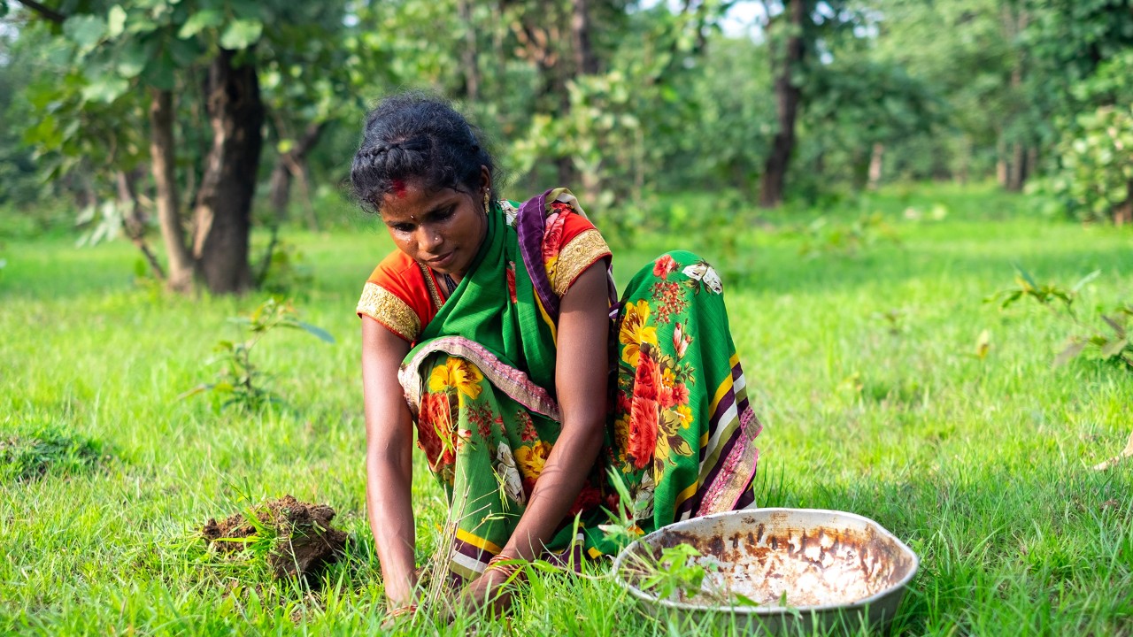 Efficient Ecosystem Protection Association