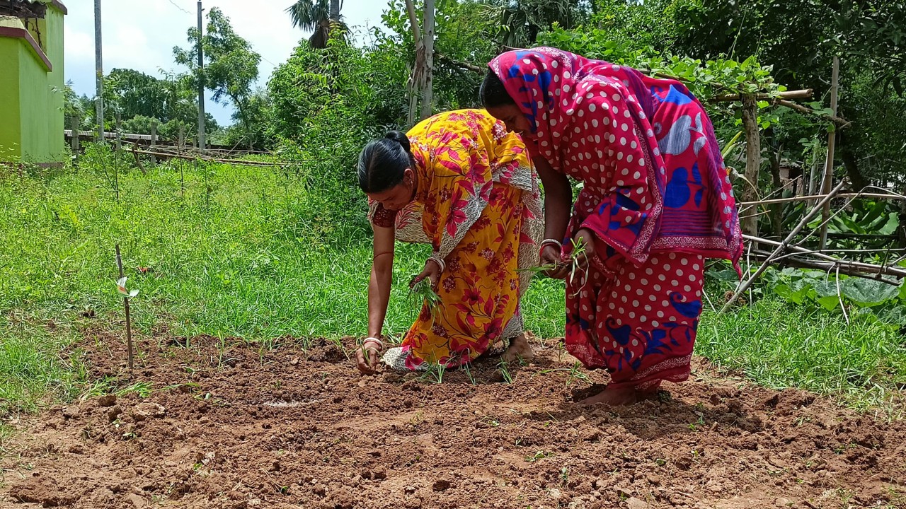 Seven Sisters Development Assistance