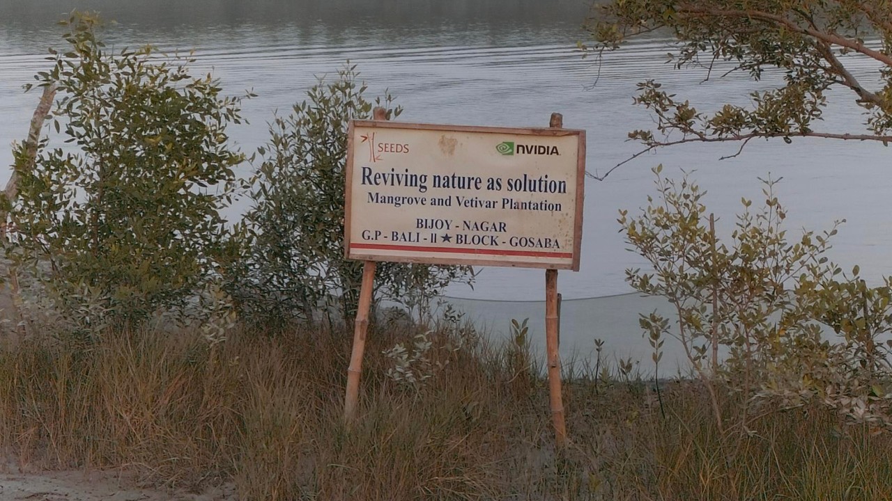 Sustainable Environment and Ecological Development Society