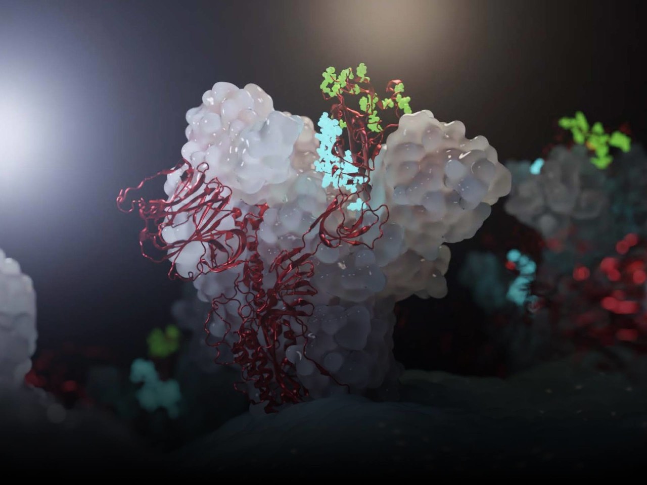 Healthcare and Life Sciences