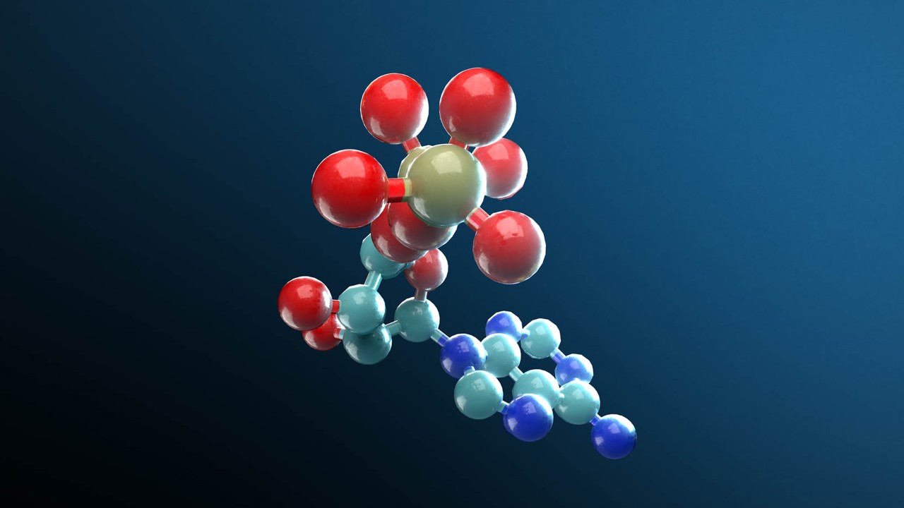 分子シミュレーションが AI と物理学を融合