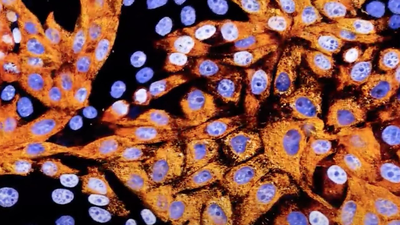 엣지에서 HPC 문제 해결