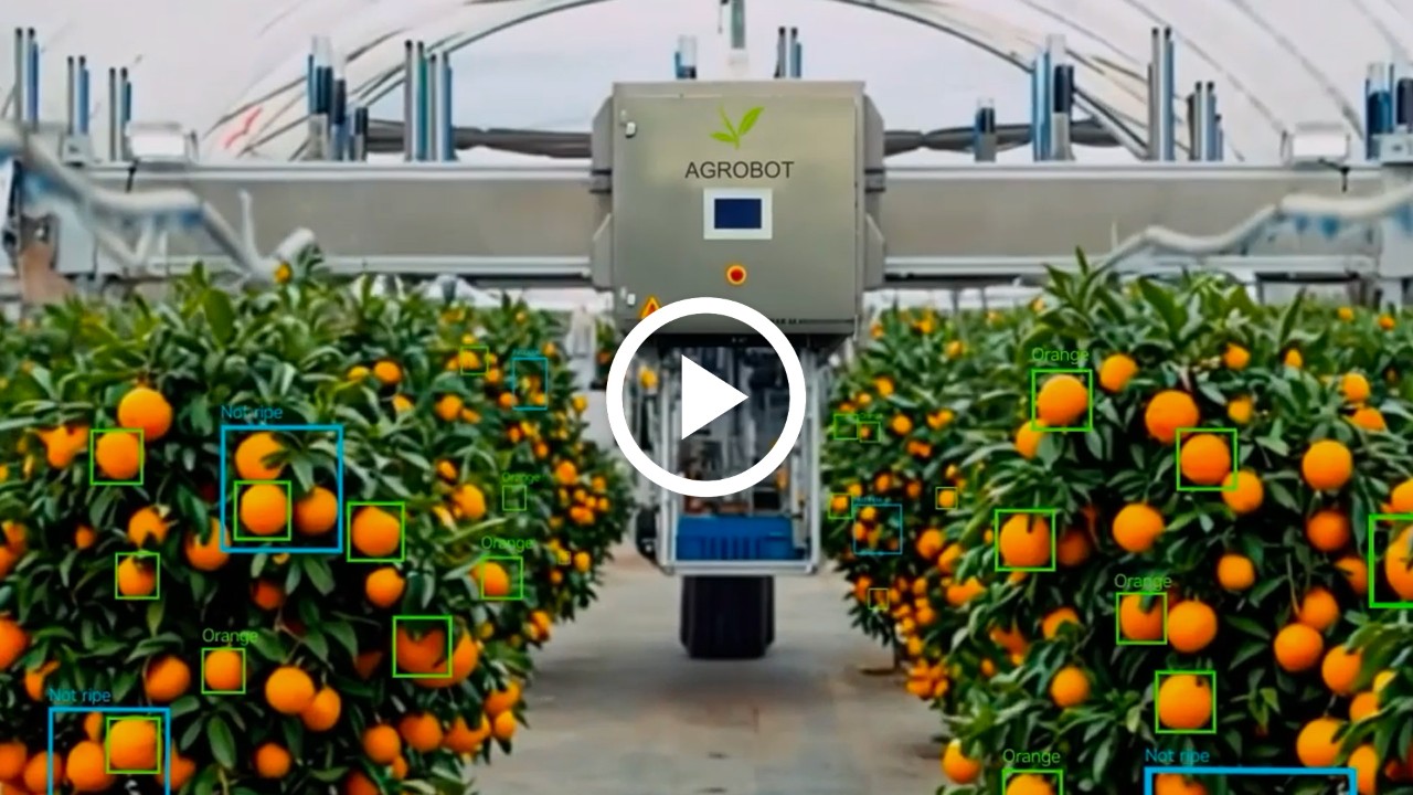 Cómo NVIDIA Abrió las Puertas a la Era Moderna de la IA