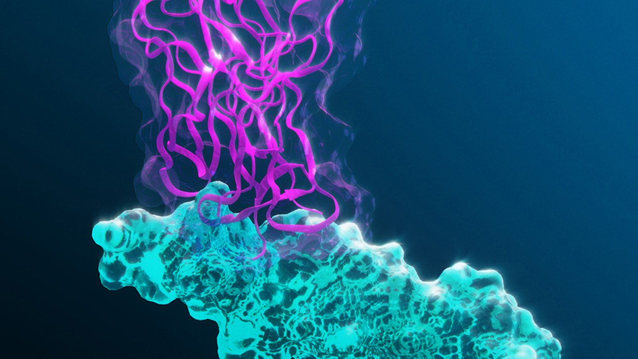 BioNeMo Drug Discovery Biopharma