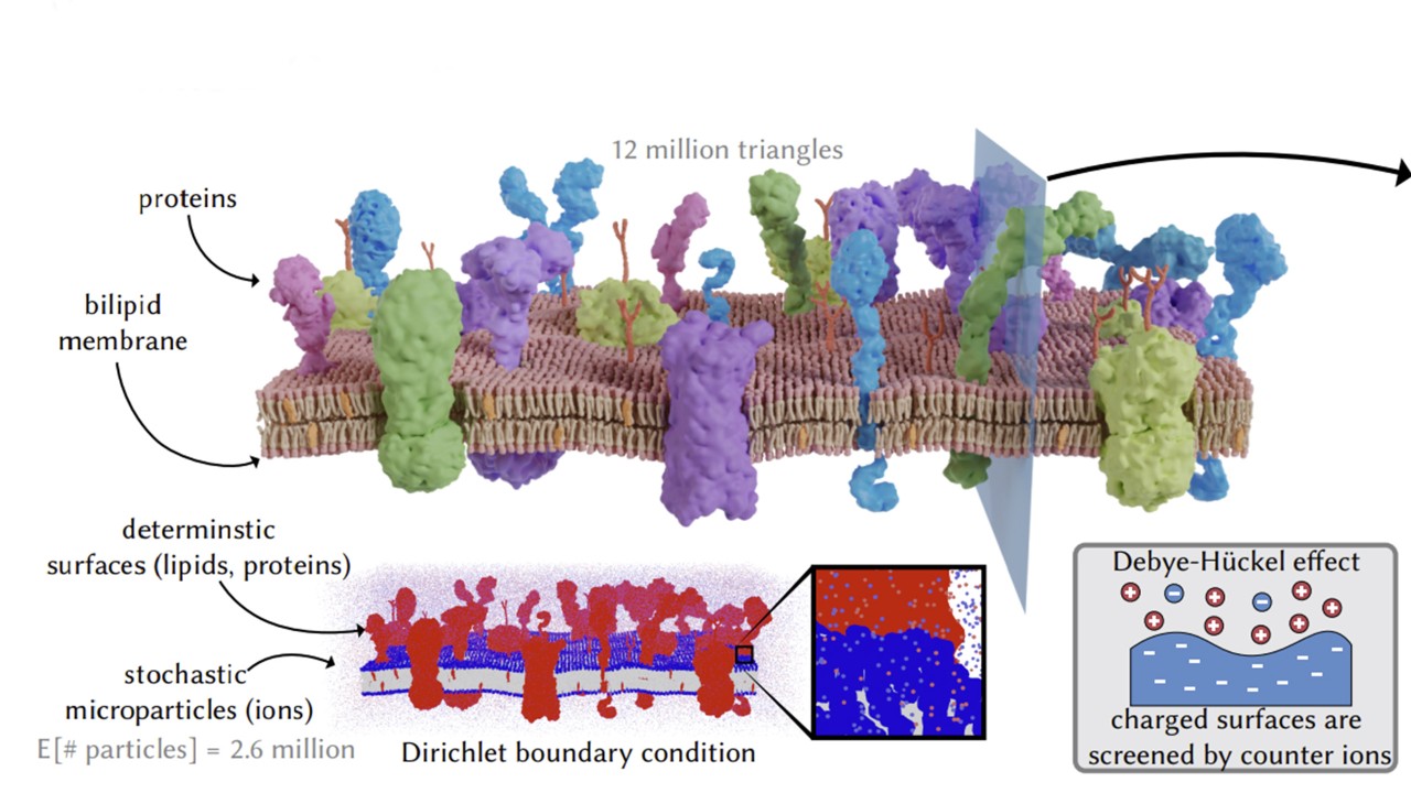 參與式媒介中的蒙地卡羅偏微分方程模擬