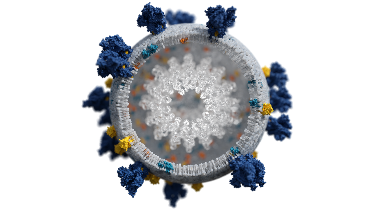 Virus simulation for pharma research