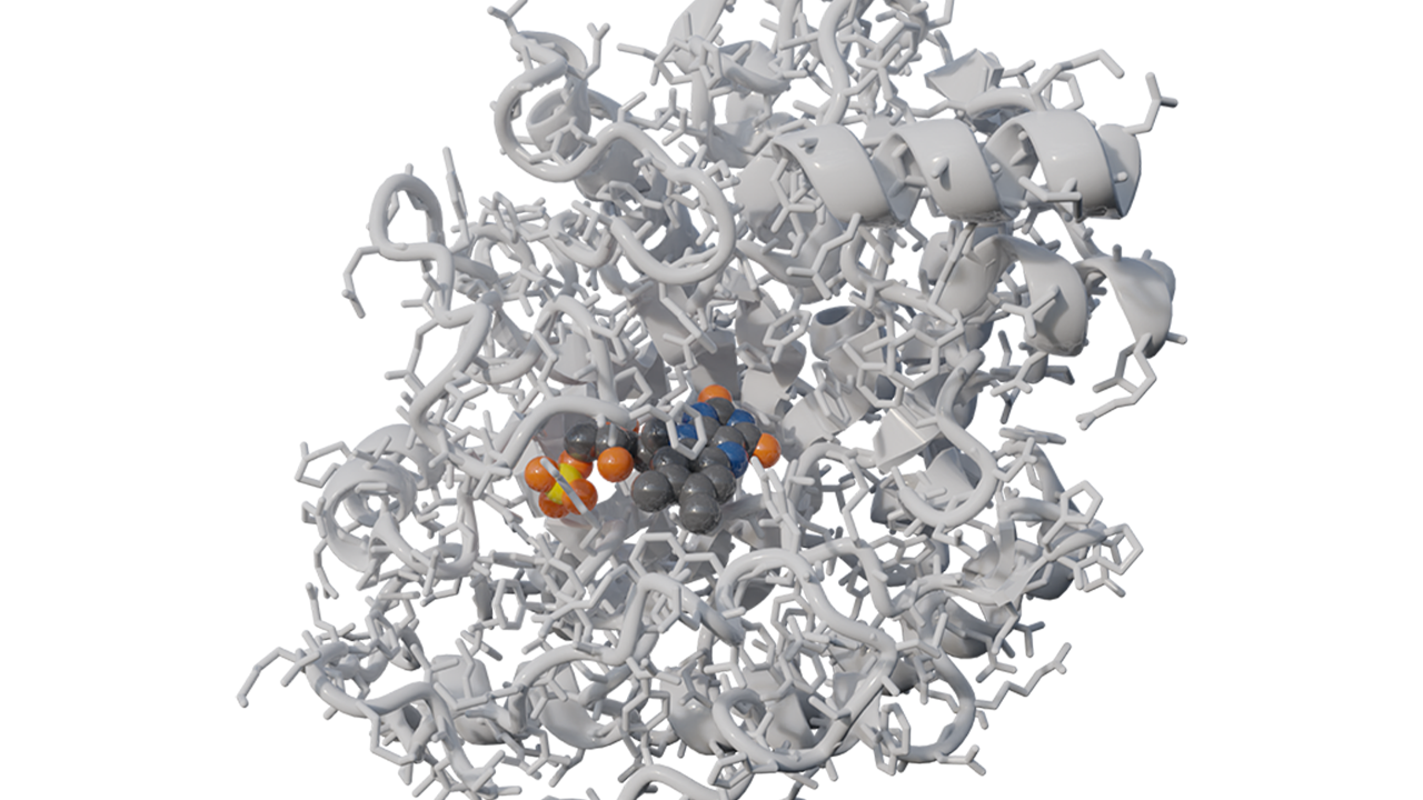 Enzyme catalysis simulation