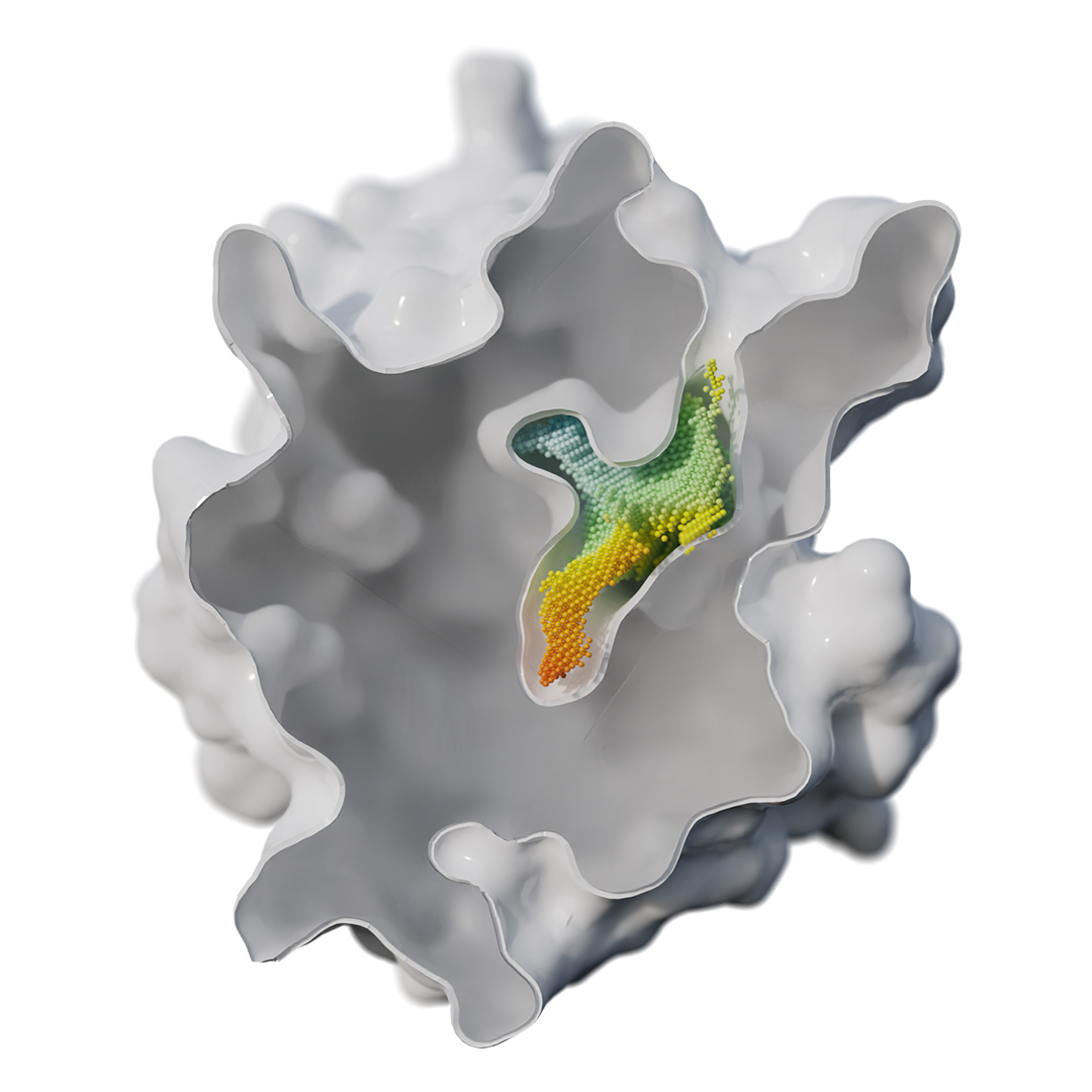 Cloud-like protein structure with highlighted binding site