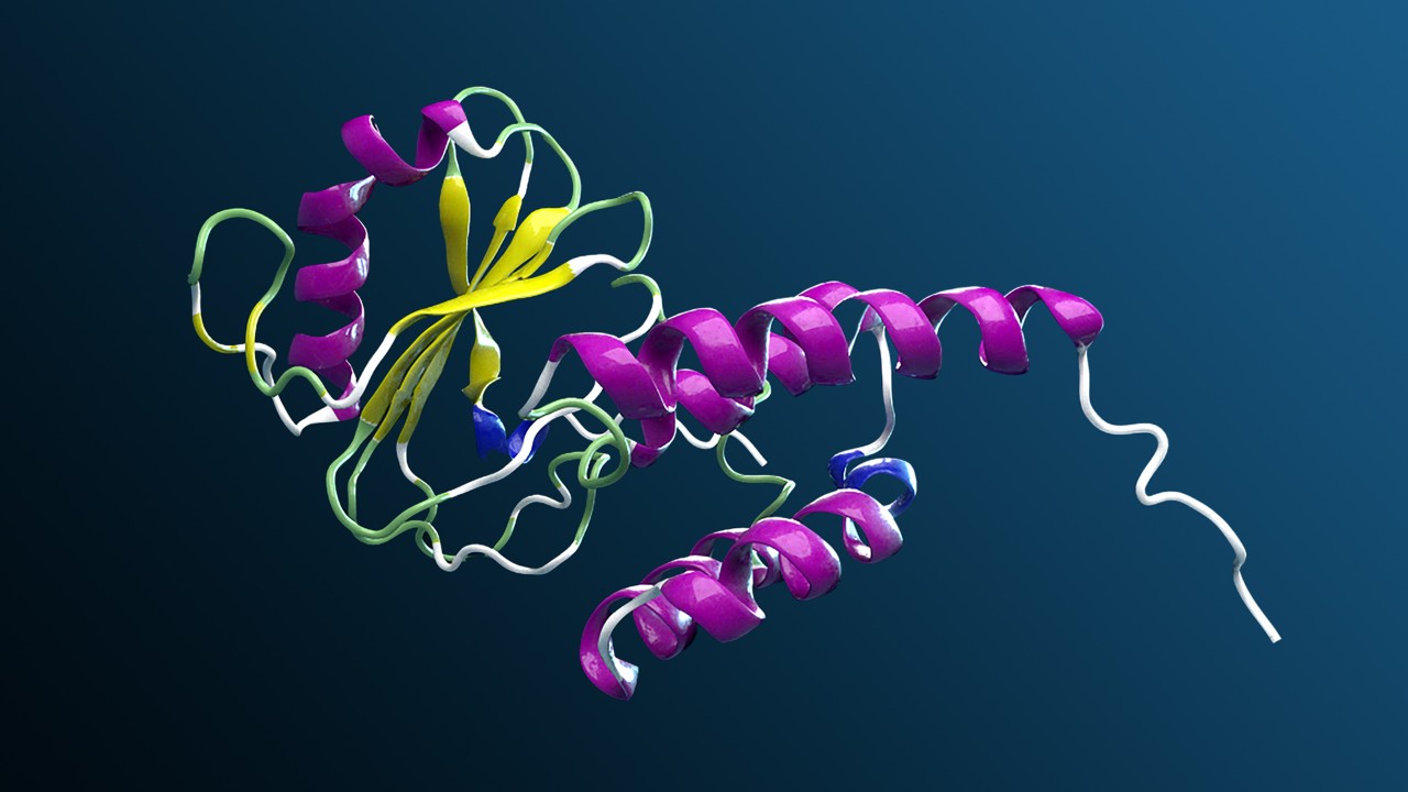 Protein folding illustration.