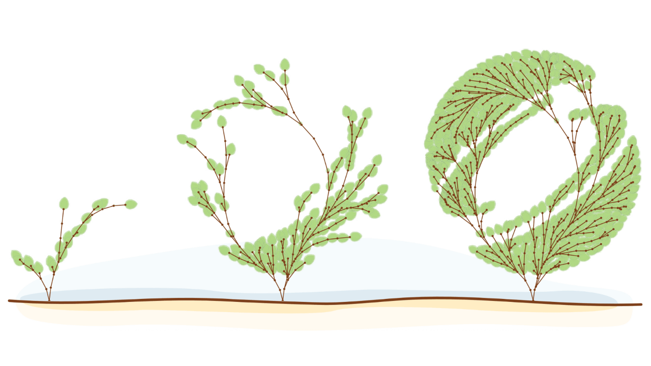 Successive steps of a tree grammar designed for descent