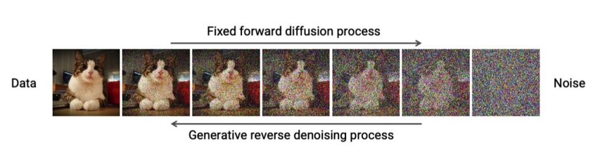 The diffusion and denoising process