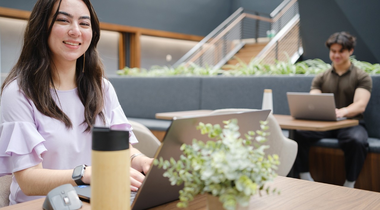 A developer considers her professional career in AI research