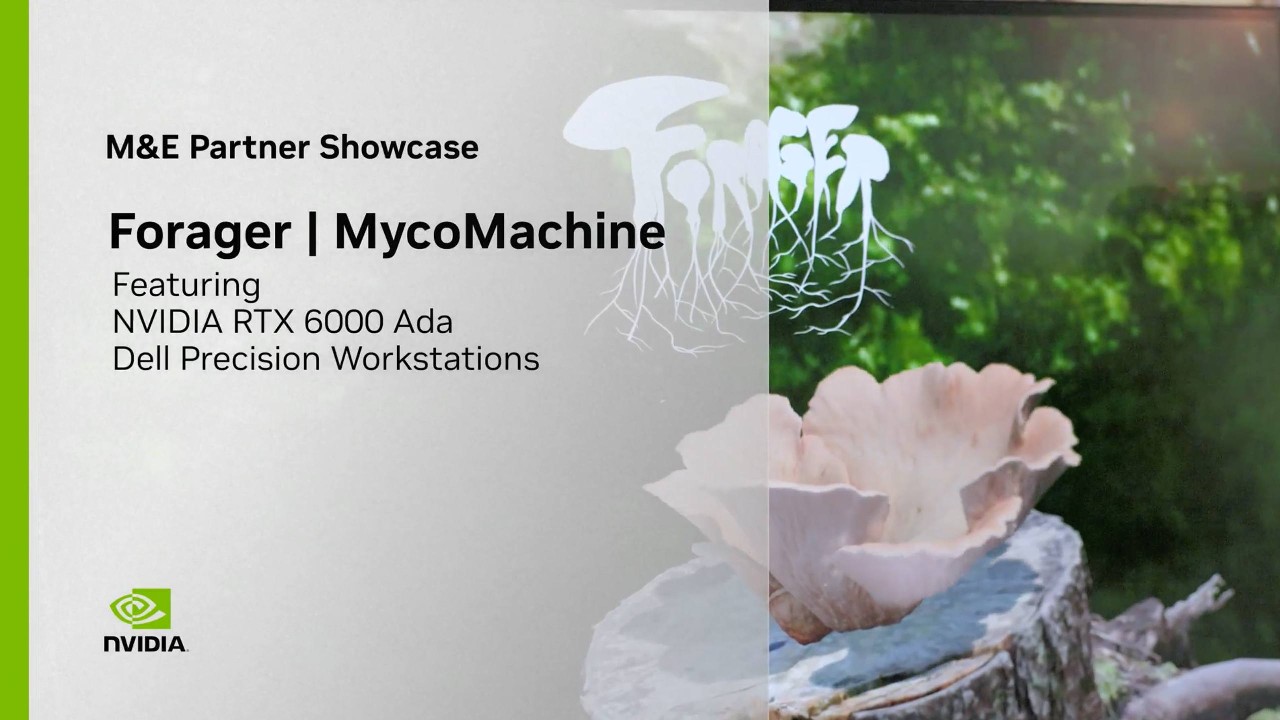 3D Volumetric Time-Lapse with Forager